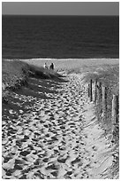 Path to ocean through dunes and tourists, Cape Cod National Seashore. Cape Cod, Massachussets, USA (black and white)