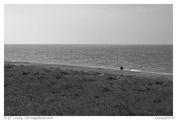 Distant couple on beach, Cape Cod National Seashore. Cape Cod, Massachussets, USA (black and white)