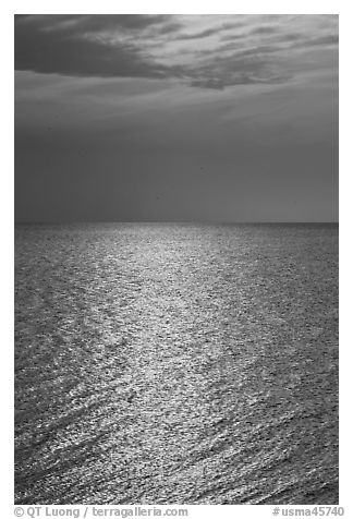 Shimmering water, Cape Cod Bay, Cape Cod National Seashore. Cape Cod, Massachussets, USA (black and white)