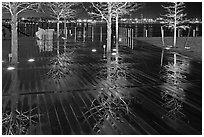 Tree reflections on wet boardwalk. Boston, Massachussets, USA ( black and white)