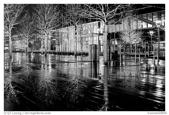 Trees reflected on boardwalk, and modern building at night. Boston, Massachussets, USA