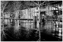 Trees reflected on boardwalk, and modern building at night. Boston, Massachussets, USA ( black and white)