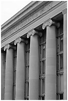 Detail of Harvard Law School building, Cambridge. Boston, Massachussets, USA ( black and white)