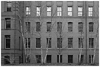 Facade of brick building, Harvard University, Cambridge. Boston, Massachussets, USA (black and white)