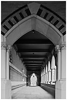 Gallery, Memorial Hall,  Harvard University, Cambridge. Boston, Massachussets, USA ( black and white)