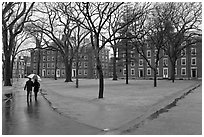 Couple with unbrella walking on Harvard University Campus, Cambridge. Boston, Massachussets, USA ( black and white)