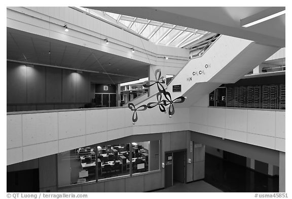 Inside science building, Harvard University, Cambridge. Boston, Massachussets, USA (black and white)