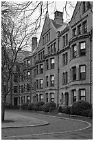 Harvard University buildings, Harvard University, Cambridge. Boston, Massachussets, USA ( black and white)