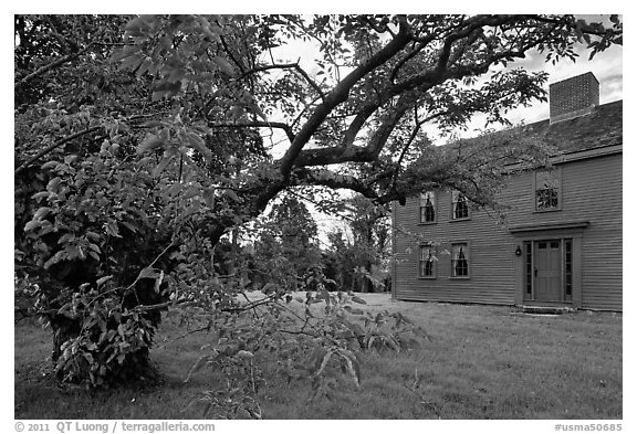 Tree and Samuel Brooks House, Minute Man National Historical Park. Massachussets, USA