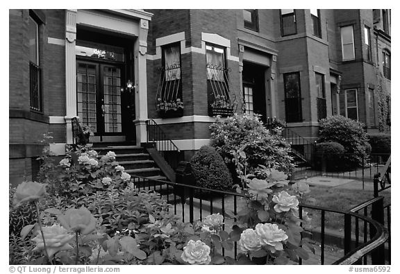Flowers and brick houses on Beacon Hill. Boston, Massachussetts, USA (black and white)