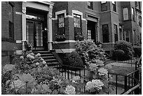 Roses and brick houses on Beacon Hill. Boston, Massachussets, USA ( black and white)