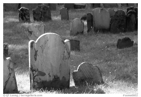 Tombstones in Copp Hill cemetery. Boston, Massachussets, USA (black and white)