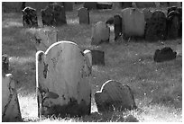 Tombstones in Copp Hill cemetery. Boston, Massachussets, USA ( black and white)