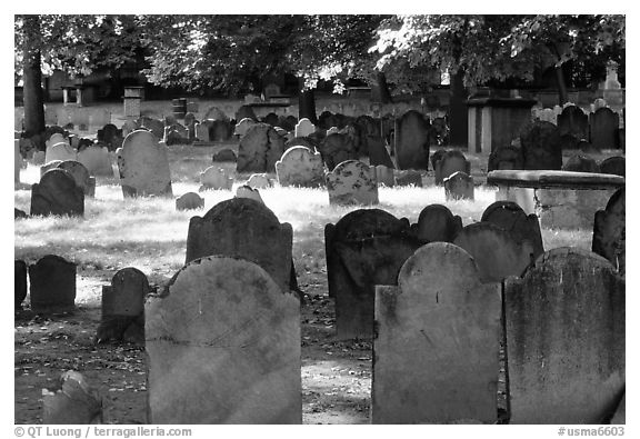 Old headstones in Copp Hill cemetery. Boston, Massachussets, USA