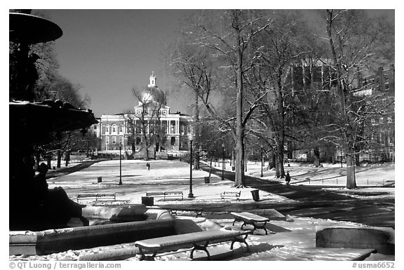 Boston common in winter. Boston, Massachussets, USA (black and white)