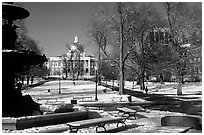 Boston common in winter. Boston, Massachussets, USA (black and white)