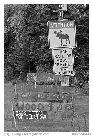 Moose warning a wood for sale signs. Maine, USA (black and white)