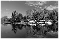 Seaplanes and autumn foliage, West Cove, late afternoon, Greenville. Maine, USA (black and white)