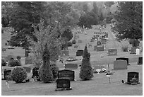 Grassy cemetery in the fall, Greenville. Maine, USA (black and white)