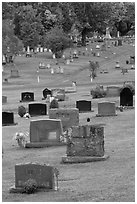 Headstones, Cemetery, Greenville. Maine, USA (black and white)