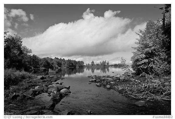 Stream, trees in fall color, Beaver Cove. Maine, USA (black and white)