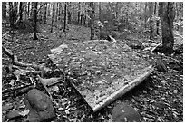 Pieces of B-52 wreckage lie scattered on Elephant Mountain. Maine, USA (black and white)