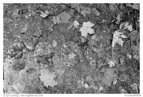 Detail of B-52 airplane part with fallen leaves. Maine, USA (black and white)