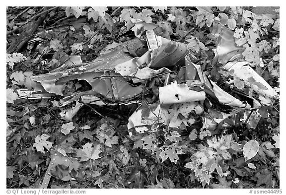 Autumn leaves and cluster of mangled aluminum from B-52 crash. Maine, USA (black and white)