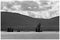 Islets with conifers, Moosehead Lake, Lily Bay State Park. Maine, USA (black and white)