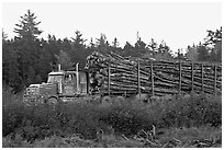 Truck loaded with tree logs. Maine, USA ( black and white)