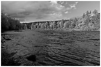 Fast-flowing Penobscot River and fall foliage. Maine, USA (black and white)