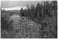 Penobscot River in the fall. Maine, USA ( black and white)