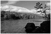 Penobscot River, boulders, and trees in fall. Maine, USA ( black and white)