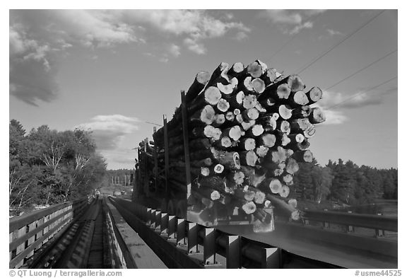 Truck carrying logs, Abol bridge. Maine, USA (black and white)
