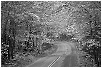 Fall foliage and road near entrance of Baxter State Park. Baxter State Park, Maine, USA (black and white)