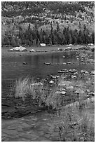 Reeds and mountain slope, Sandy Stream Pond. Baxter State Park, Maine, USA (black and white)