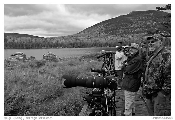 Wildlife photographers on observation platform, Sandy Stream Pond. Baxter State Park, Maine, USA