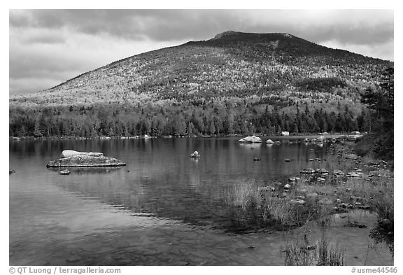 South Turner Mountain reflected in Sandy Stream Pond in autumn. Baxter State Park, Maine, USA (black and white)