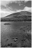 Forested mountain with fall foliage and pond. Baxter State Park, Maine, USA (black and white)