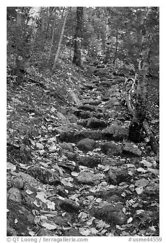 Steep trail paved irregularly with stones. Baxter State Park, Maine, USA
