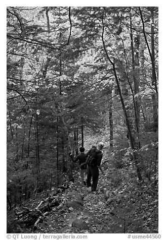 Hikers descend steep trail in forest. Baxter State Park, Maine, USA (black and white)