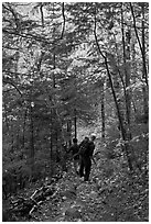 Hikers descend steep trail in forest. Baxter State Park, Maine, USA ( black and white)