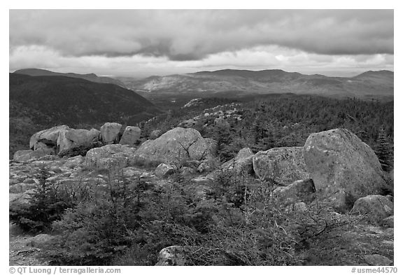 Evergreens and boulders on summit of South Turner Mountain. Baxter State Park, Maine, USA (black and white)