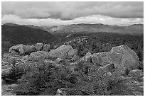 Evergreens and boulders on summit of South Turner Mountain. Baxter State Park, Maine, USA ( black and white)