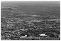 Ponds and forested landscape in autumn with spots of light. Baxter State Park, Maine, USA (black and white)