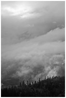 Clearing clouds and ridge with conifers. Baxter State Park, Maine, USA ( black and white)