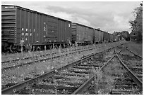 Railroad tracks and cars, Millinocket. Maine, USA ( black and white)