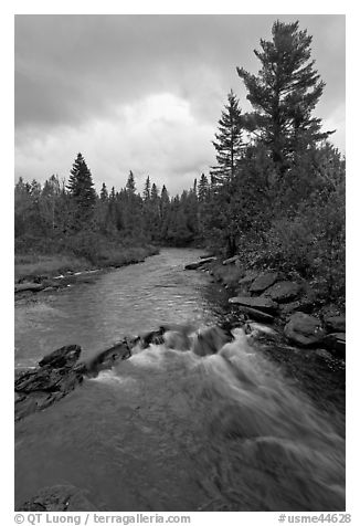 Allagash stream in stormy weather. Allagash Wilderness Waterway, Maine, USA (black and white)