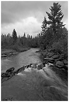 Allagash stream in stormy weather. Allagash Wilderness Waterway, Maine, USA ( black and white)
