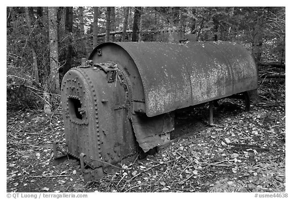 Steam engine remnant in forest. Allagash Wilderness Waterway, Maine, USA